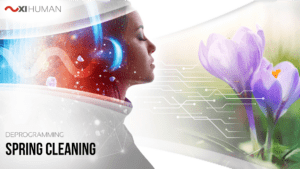 Spring Cleaning | XI Human: Deprogramming