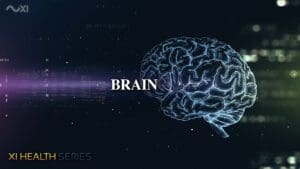 Brain Health | XI Health Series