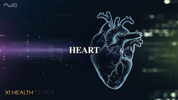 XI Health Series - Image 3