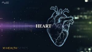 Heart  | XI Health Series