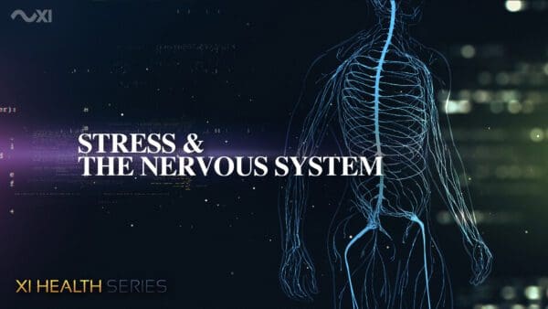 Heart  | XI Health Series - Image 6