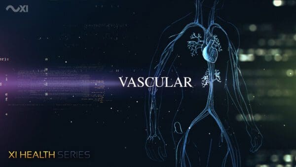 XI Health Series - Image 6