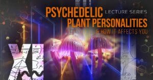 Psychedelic Plant Personalities and How it Affects Your Experience | XI Lecture Series