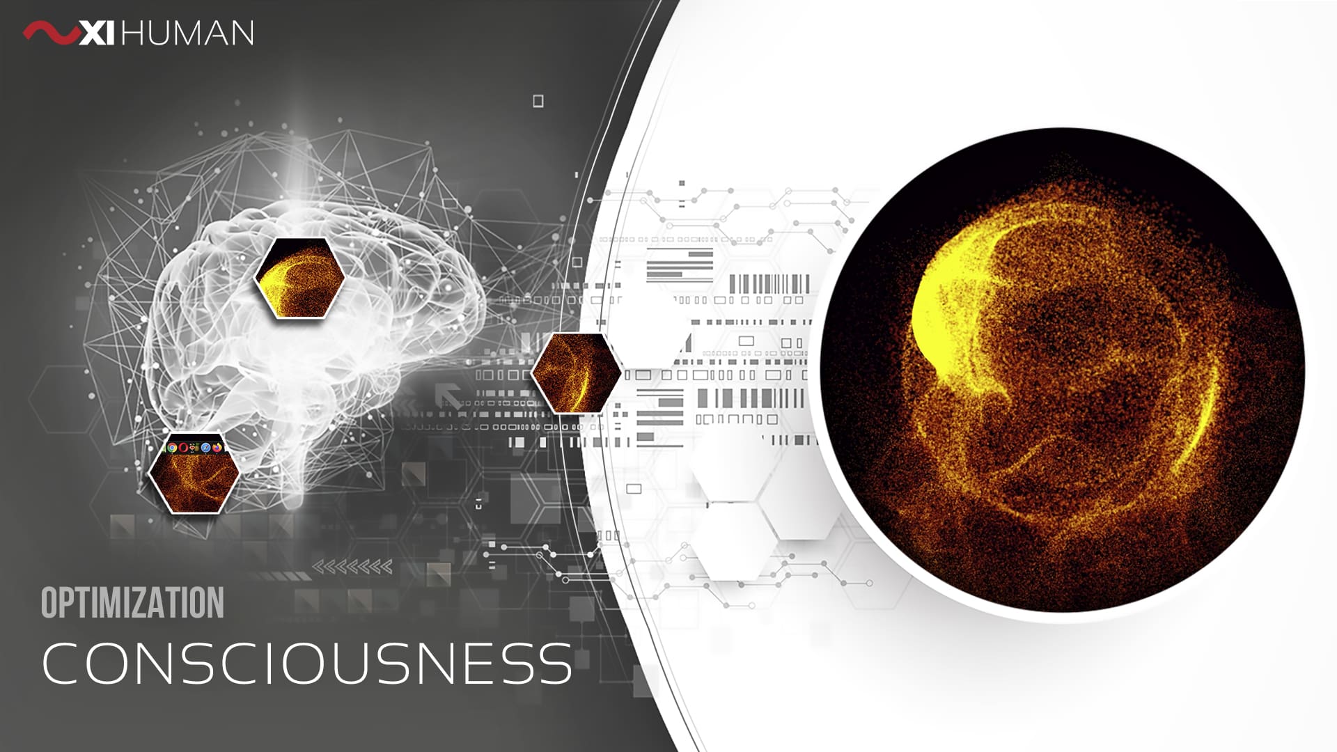 Consciousness | XI Human: Optimization