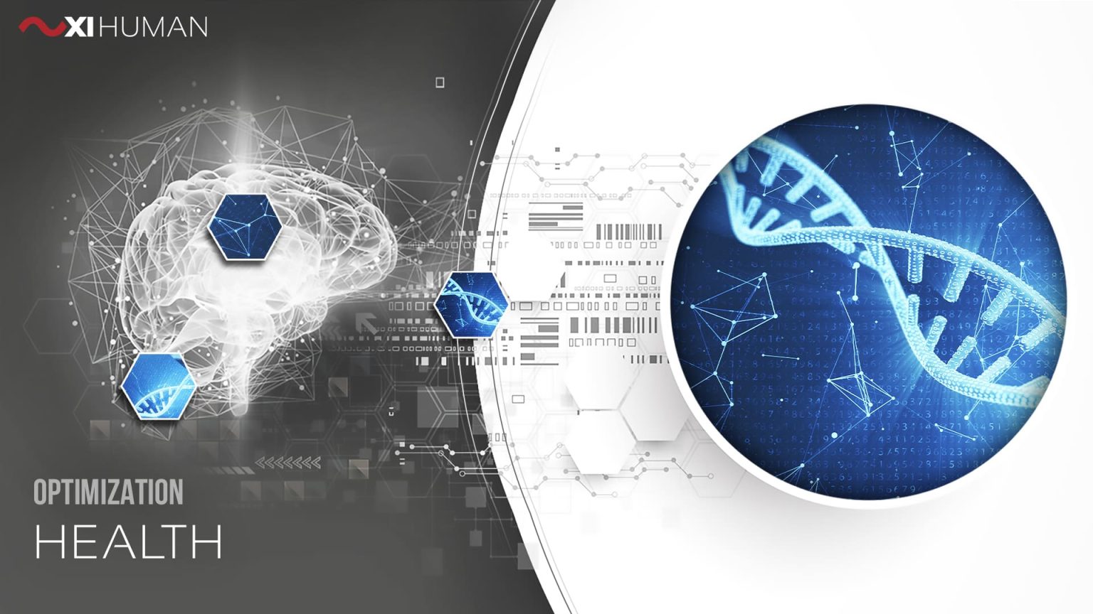 Health | XI Human: Optimization | The XI Code