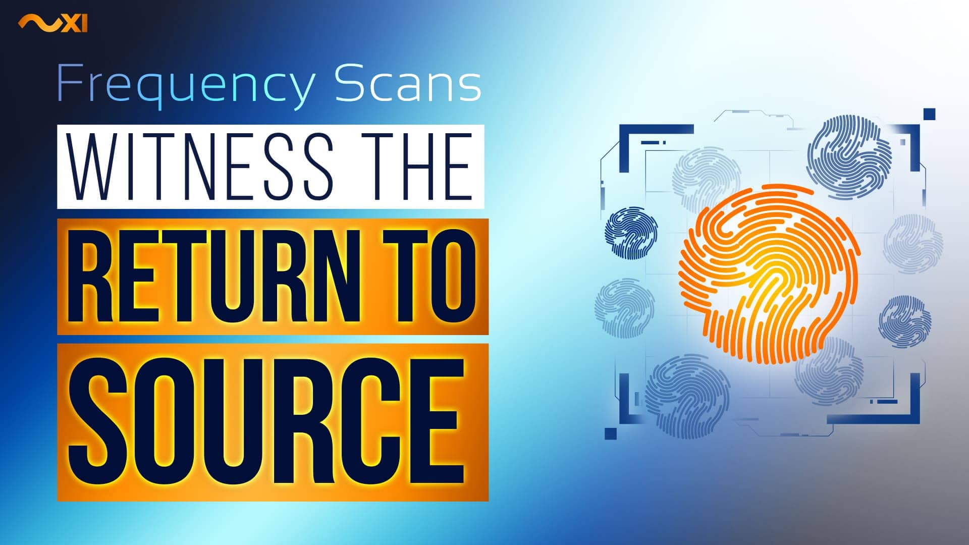 The Return to Source: Real-Time XI Transformation | Impact Frequency Sessions - MOS