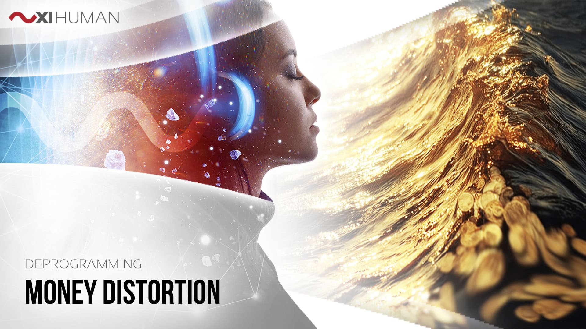 Money Distortion | XI Human: Deprogramming