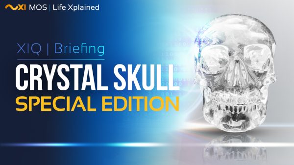 Crystal Skull Information Session | Life Xplained - MOS