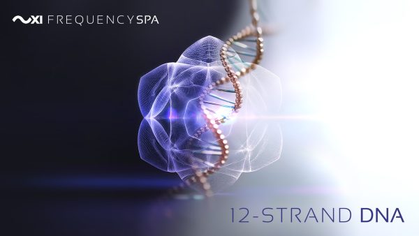Frequency Spa | 12-Strand DNA Activation (Full Series of 15)
