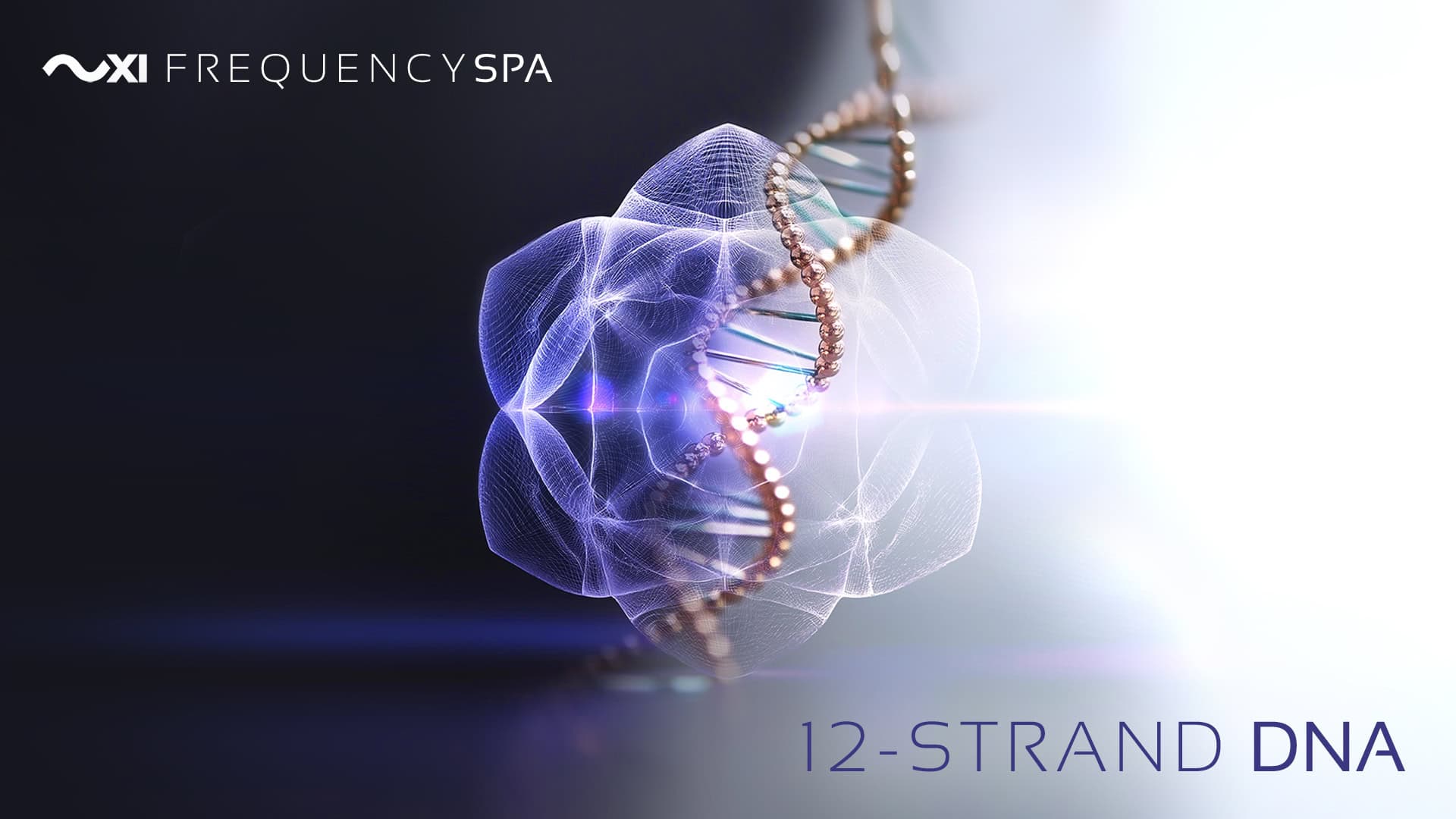 Frequency Spa | 12-Strand DNA Activation (Full Series of 15)